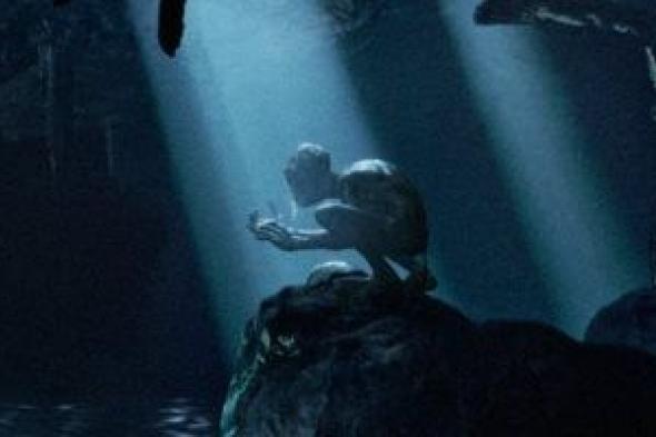 انطلاق
تصوير
فيلم
The
Lord
of
the
Rings:
The
Hunt
for
Gollum
في
نيوزيلندا
