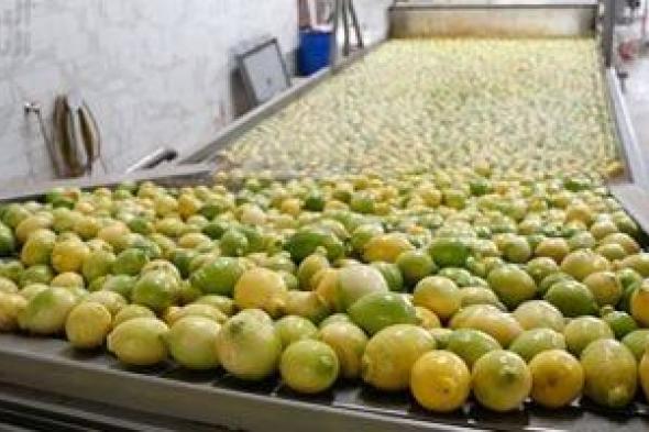 الموالح
تواصل
التربع
على
عرش
الصادرات
الزراعية
المصرية
بـ
2.2
مليون
طن