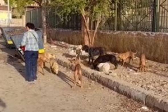 الزراعة:
خطة
موحدة
لإدارة
ملف
"حيوانات
الشارع"
