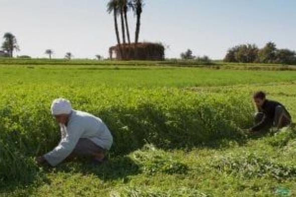 تقلبات
«أبيب
ومسرى»..
كيف
يستعد
المزارع
المصرى
لمواجهة
موجات
الصيف
القاسية؟