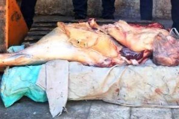 ضبط
2.6
طن
لحوم
ودواجن
مجهولة
المصدر
في
حملات
تموينية
بالمنوفية