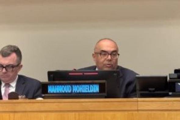 محمود
محيي
الدين:
تسريع
تنفيذ
أهداف
التنمية
المستدامة
يتطلب
تمويلاً
أكثر
كفاءة
وعدالة