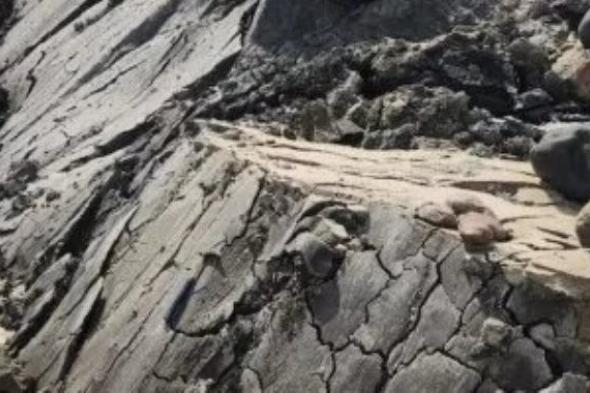 ارتفاع ضحايا فنزويلا إلى 5278 قتيلا.. دمار هائل يضرب البلاد