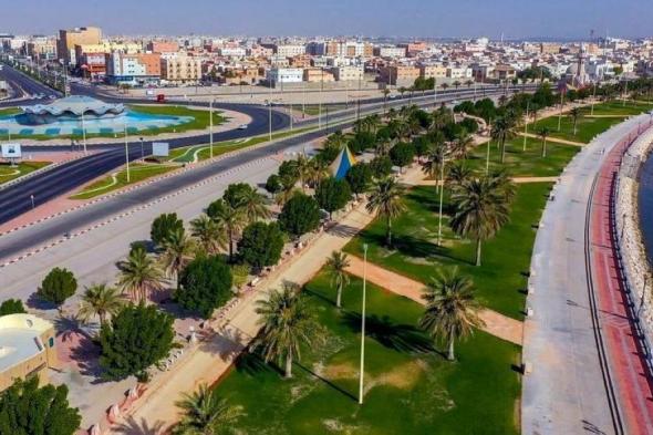 2.2 مليار إيرادات و459 فرصة جديدة.. الشرقية وجهة المستثمرين