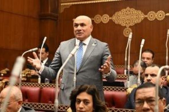 برلمانى: كلمة الرئيس السيسي فى ذكرى ثورة 23 يوليو أكدت قوة الدولة المصرية