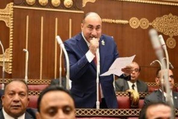 النائب عمرو رشاد: كلمة الرئيس السيسي جسدت رؤية الدولة لاستكمال مسيرة التنمية