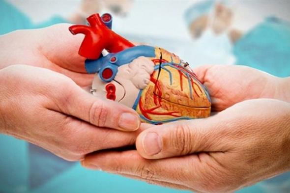 متوفيان دماغيًا ينقذان حياة سبعة مرضى بفشل عضوي في الأحساء