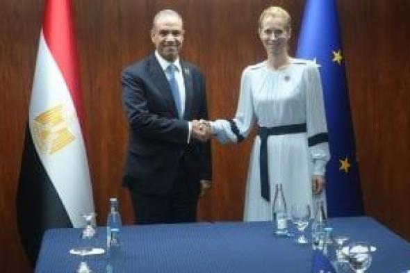 وزير الخارجية يستعرض مع مسؤولة أوروبية أعباء مصر الاقتصادية لاستضافتها ملايين الأجانب