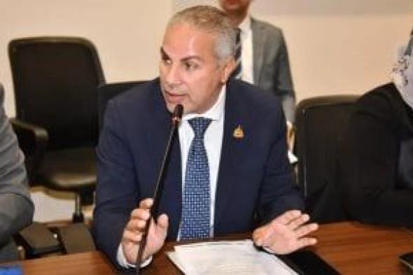 نائب: كلمة الرئيس حاسمة ورسخت ثوابت الأمن القومى والدولة المصرية الحديثة