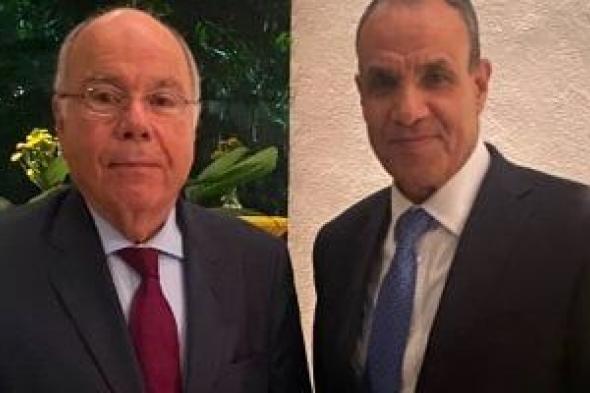 وزير الخارجية يبحث مع نظيره البرازيلى تعزيز التعاون مع دول أمريكا اللاتينية
