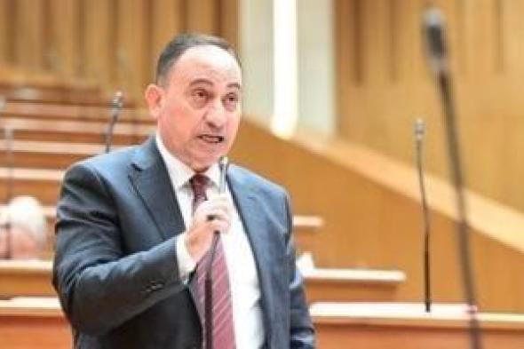 برلمانى: كلمة الرئيس السيسي فى ذكرى 23 يوليو رسمت ملامح الجمهورية الجديدة