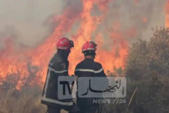31 منها قيد الإخماد.. تسجيل 138 حريقا خلال يوم واحد!