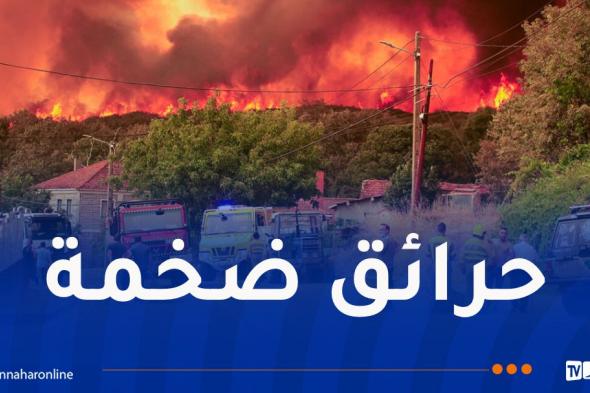الحرائق تخرج عن السيطرة.. إسبانيا تعلن حالة طوارئ