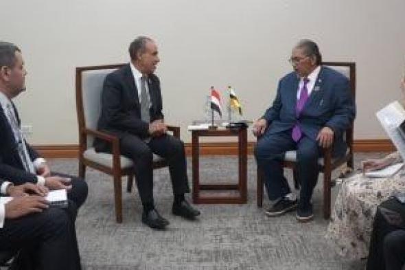 "عبد العاطي" يبحث مع وزير الخارجية الثاني بسلطنة بروناي تعزيز العلاقات