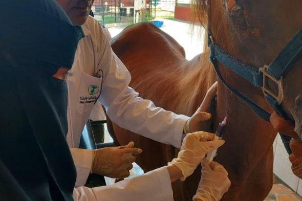 تنظيمات جديدة تمنع تسجيل اللقاحات البيطرية دون دراسات حيوية