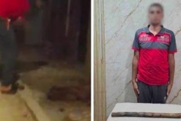 الداخلية تضبط المتهم بضرب كلب بعصى حتى وفاته فى الغربية