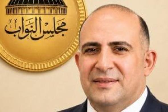 النائب محمد سليم: ذكرى 23 يوليو تجسد وحدة الشعب خلف القيادة لمواجهة التحديات