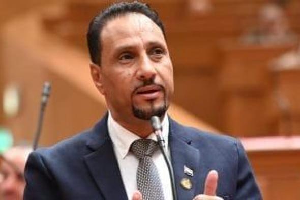 النائب جرجس لاوندى: ثورة 23 يوليو محطة فارقة فى بناء الدولة الوطنية الحديثة