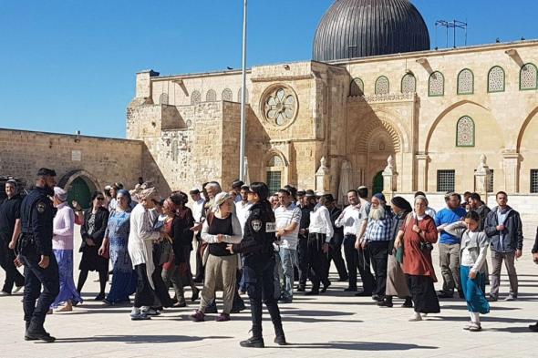 مصر: الانتهاكات الإسرائيلية تزيد التصعيد في الأراضي الفلسطينية والمنطقة