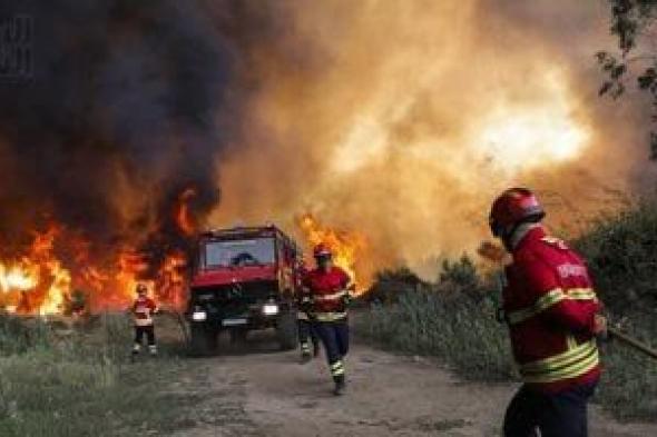 وزارة الشباب الجزائرية تطلق الحملة الشبابية لدعم جهود مكافحة الحرائق