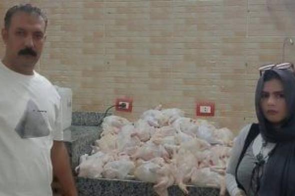 تموين المنوفية: تحرير 354 محضرا وضبط كميات لحوم فاسدة فى حملات على الأسواق