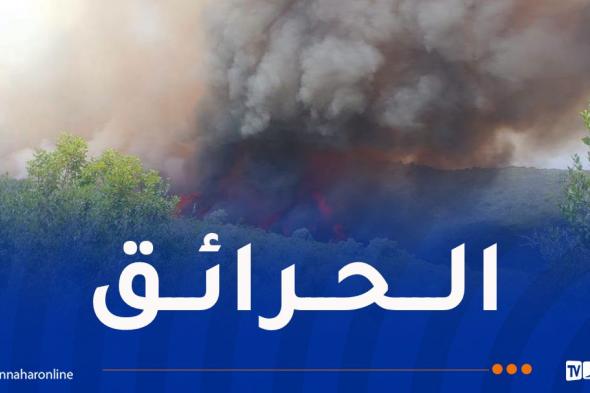 إخماد 19 حريقاً ومواصلة مكافحة 12 بؤرة بتدخل جوي وبري