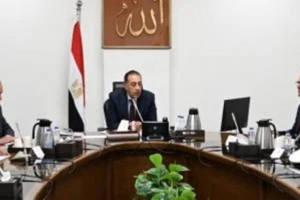 رئيس الوزراء: تنامي ظاهرة الكلاب الضالة يتطلب التعامل معها بصورة علمية ومنظمة