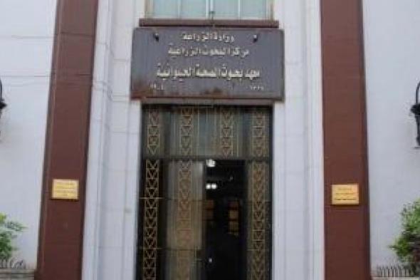 رئيس بحوث صحة الحيوان: لا يسمح بتداول أعلاف الأسماك قبل الحصول على شهادة صلاحية