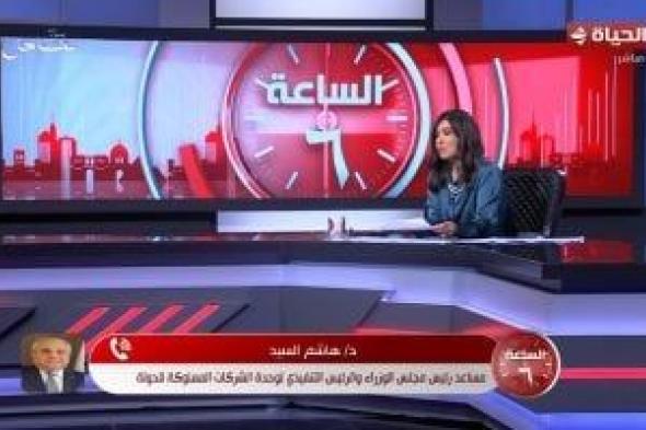 مساعد رئيس مجلس الوزراء: قيد 20 شركة مملوكة للدولة بالبورصة