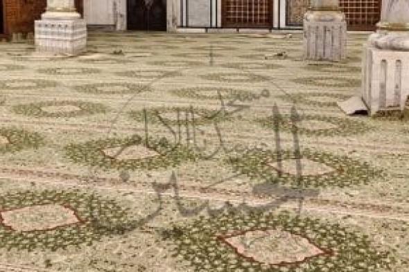 صور الفرش الجديد لمسجد الإمام الحسين في حُلة خضراء